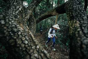 BIB: 
                            <button type="button" onclick="openModal(25392037)" class="btn btn-primary btn-sm float-right btn-popup" data-toggle="modal" data-target=".modal-high-quality">
                        <i class="fas fa-shopping-cart"></i> Add to Cart
                    </button>
                                            <button type="button" onclick="isThisMe(25392037, true)" class="btn btn-success btn-sm float-right btn-popup btn-isme hidden" data-toggle="tooltip" data-placement="bottom" title="นี่คือรูปของคุณใช่ไหม คลิกที่นี่เพื่อเอาเข้าอัลบั้ม">
                        <i class="fas fa-plus"></i> Add to album
                    </button>
                    <button type="button" onclick="isThisMe(25392037, false)" class="btn btn-warning btn-sm float-right btn-popup btn-isnotme hidden">
                        <i class="fas fa-ban"></i> Remove from album
                    </button>